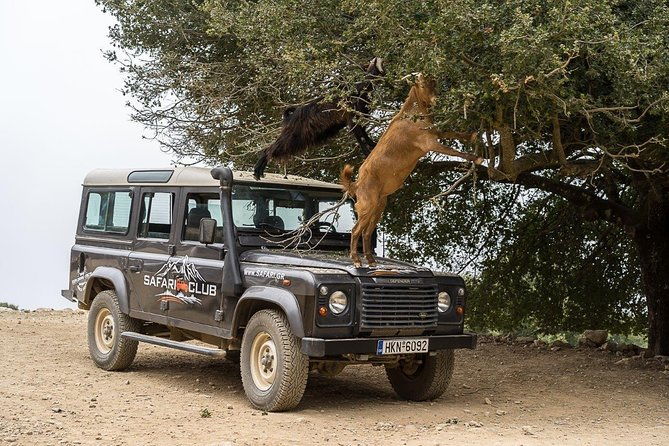 land-rover-safari-minoan-route-with-driver-and-lunch-2