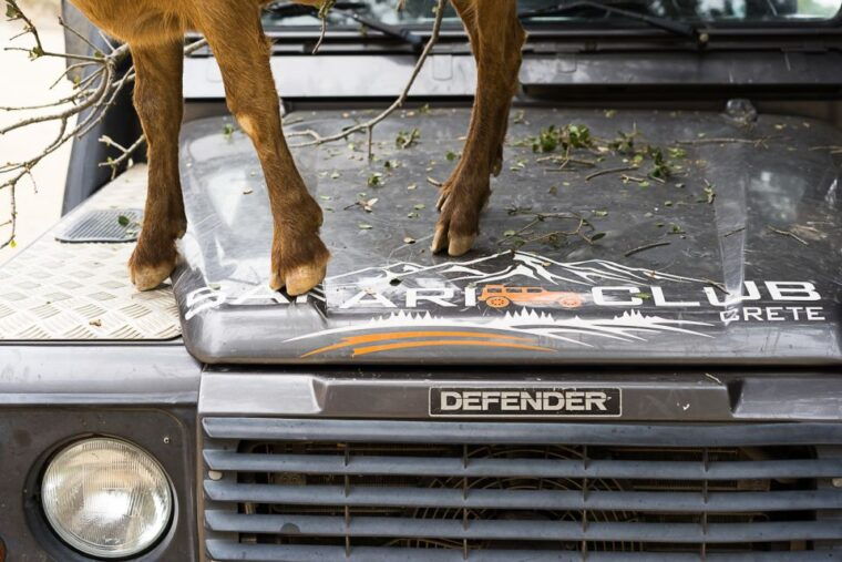 land-rover-safari-on-lassithi-route