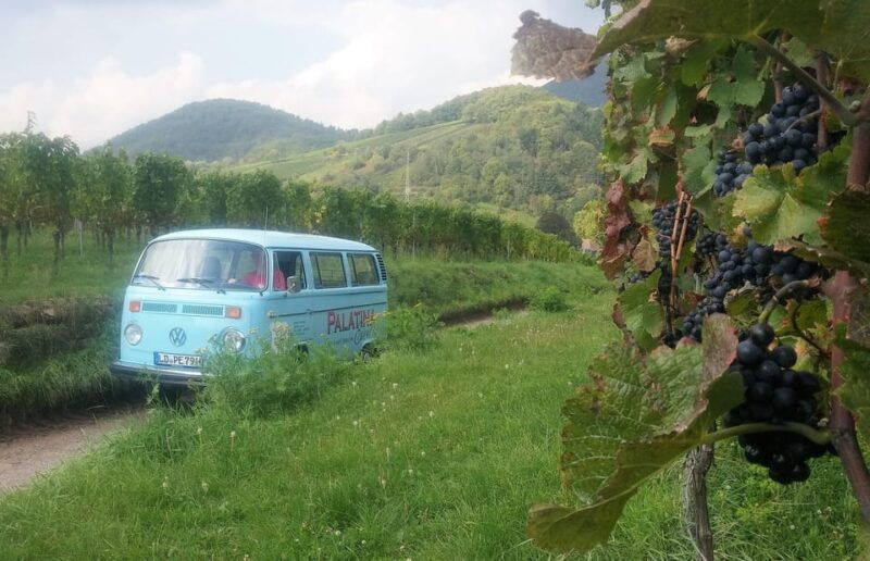 landau-tour-in-a-vintage-van-through-the-palatinate-wine-landscape