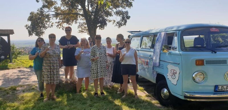 landau-tour-in-a-vintage-van-through-the-palatinate-wine-landscape
