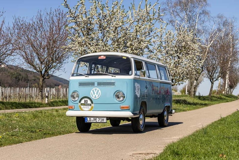 Landau: Tour in a vintage VW bus through the Palatinate wine country - What You’ll Experience in Detail