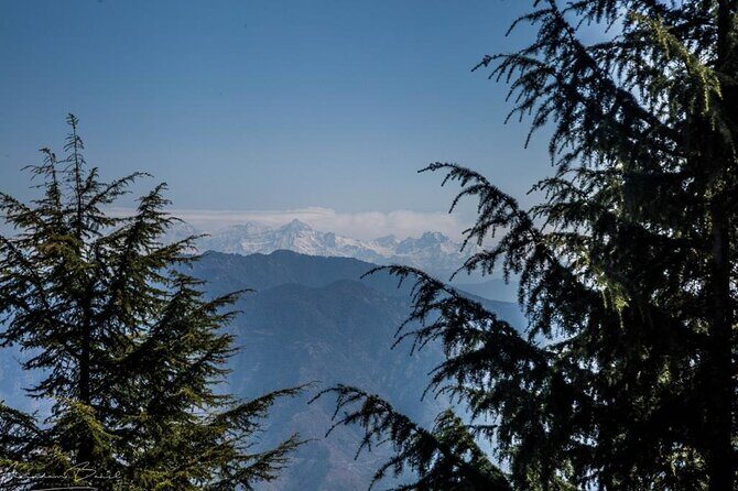 Landour Figure of Eight Walk - Who Will Love This Experience?