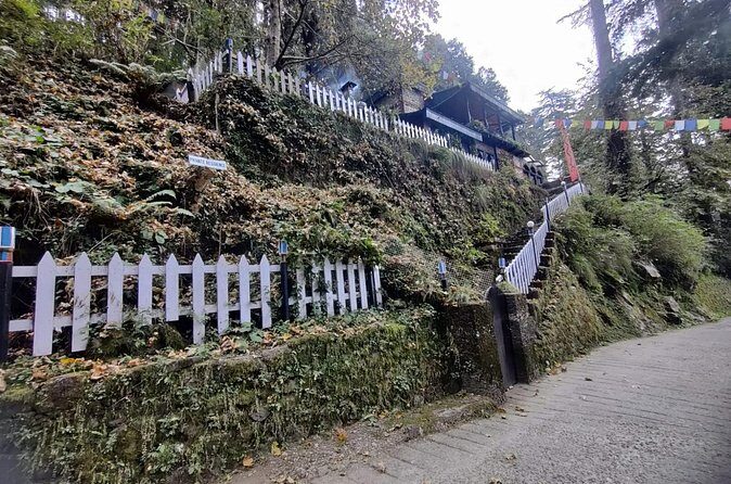 Landour Figure of Eight Walk - FAQ