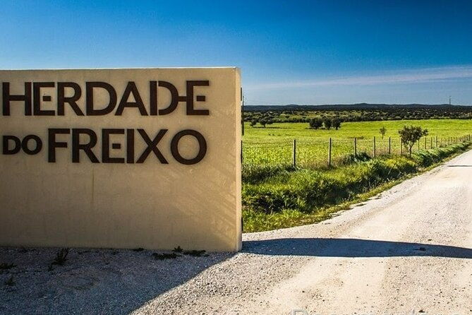 landscapes-of-alentejo-evora-tour-from-lisbon