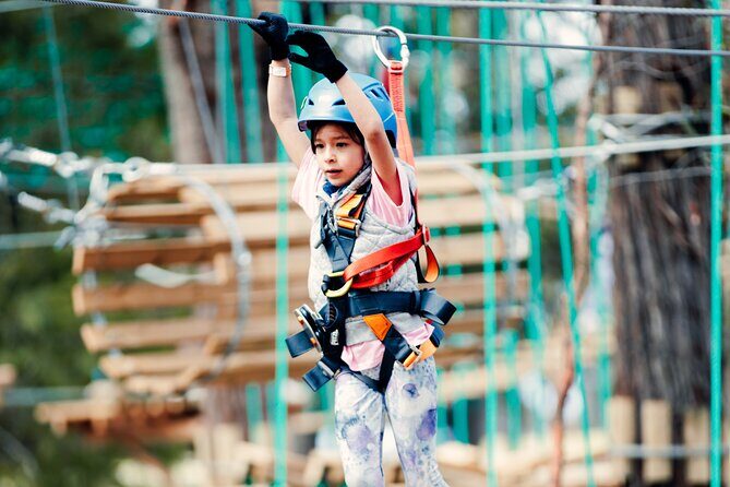 Lane Poole Park Dwellingup - Junior Tree Ropes & Ziplining - The Details: What to Expect at Lane Poole Park Dwellingup