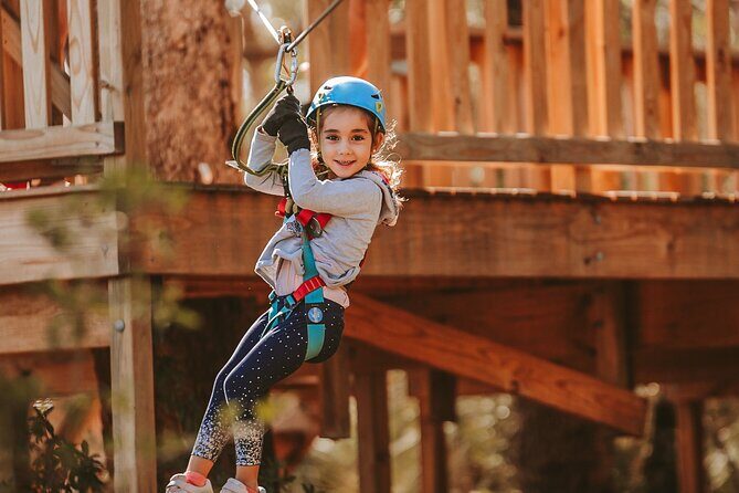 Lane Poole Park Dwellingup - Junior Tree Ropes & Ziplining - Drawbacks and Considerations