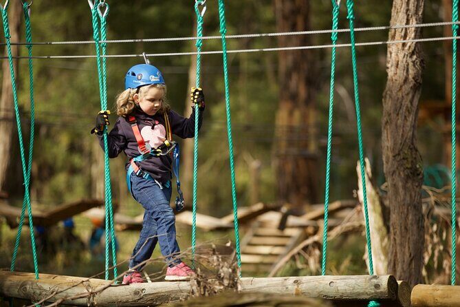 Lane Poole Park Dwellingup - Junior Tree Ropes & Ziplining - The Sum Up