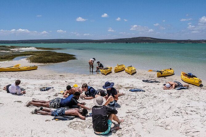 Langebaan Lagoon Island Kayak Experience - Detailed Review of the Experience