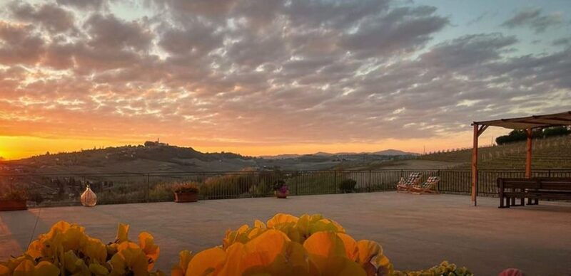 langhe-and-monferrato-amerio-vincenzo-wine-tour-and-tasting