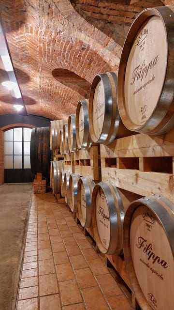 langhe-and-monferrato-tour-wine-tasting-of-agliano-wines