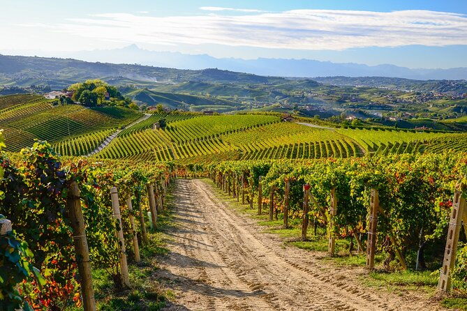 langhe-del-barolo-private-e-bike-tour-asphalt-and-dirt-road-2