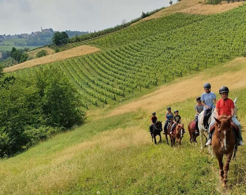 Langhe: Horse Riding in the Vineyards - Key Points