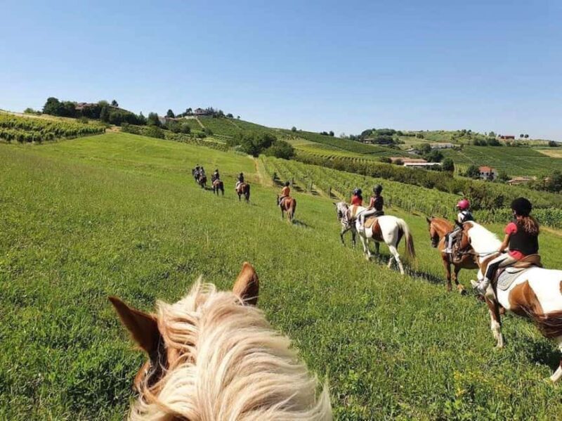 Langhe: Horse Riding in the Vineyards - Final Thoughts