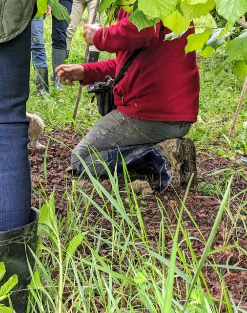 langhe-truffle-hunt-with-local-trifulau-and-dog