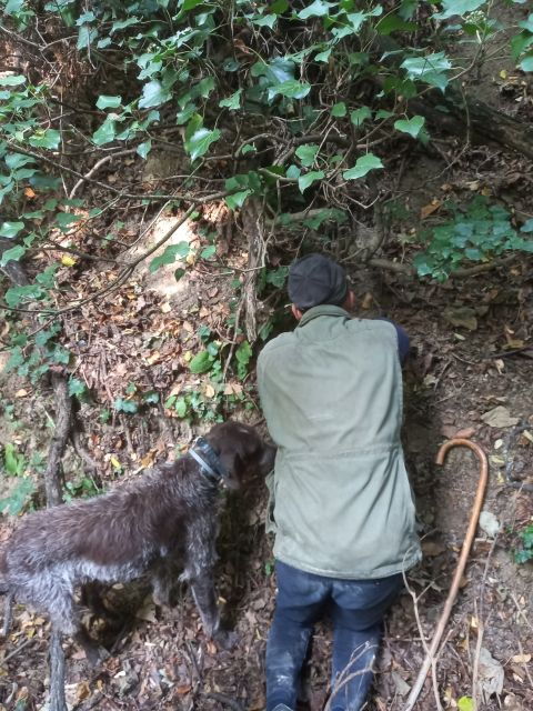 langhe-truffle-hunting-experience-2