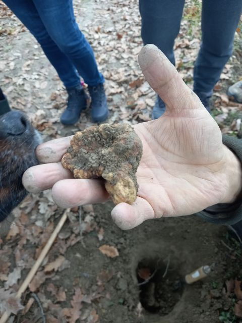 langhe-truffle-hunting-experience-2