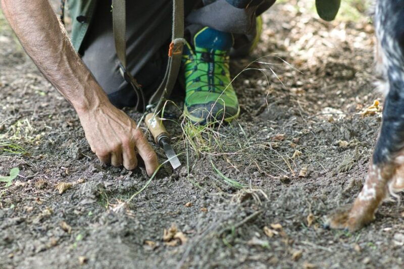 langhe-truffle-hunting-experience-2