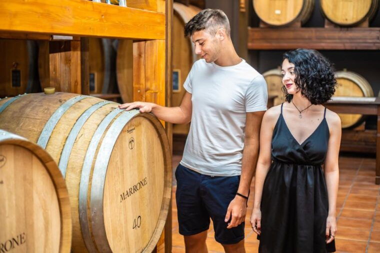 langhe-vespa-tour-to-the-wine-region-of-barolo