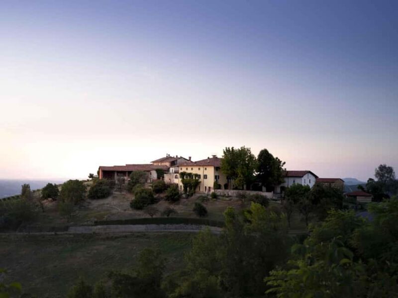 Langhe: Visit to the Vineyard and Historic Cellars with Tasting - Key Points