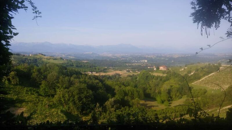 Langhe: Visit to the Vineyard and Historic Cellars with Tasting - The Sum Up