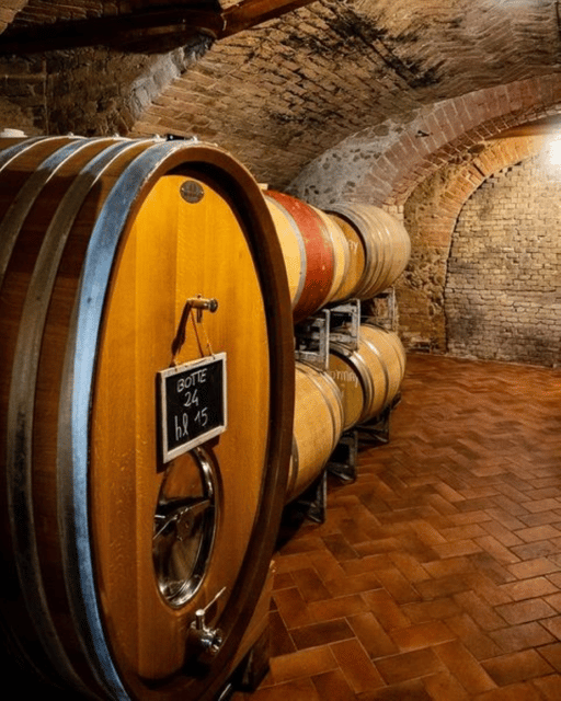 langhe-wine-tour-with-a-winemaker