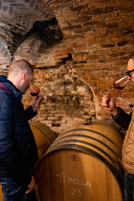 langhe-wine-tour-with-a-winemaker