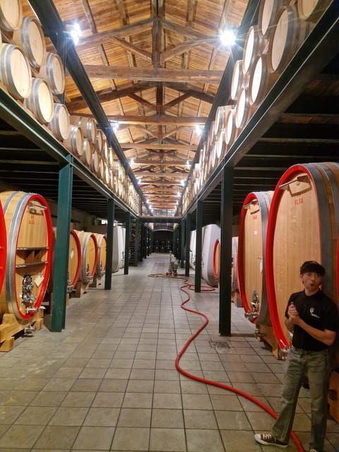 langhe-wine-tour-with-a-winemaker