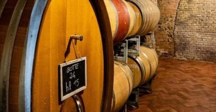 langhe-wine-tour-with-a-winemaker