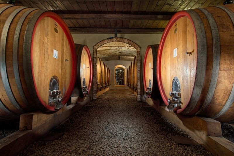 langhe-winery-tour-and-wine-tasting