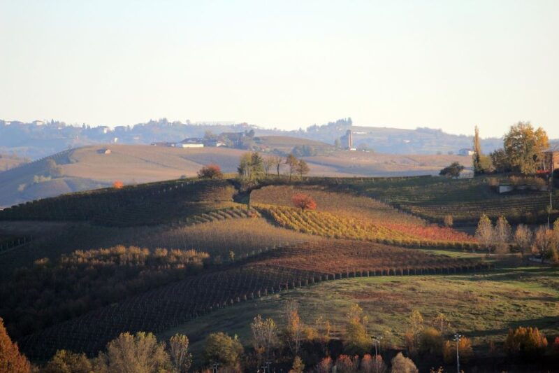 langhe-winery-tour-and-wine-tasting