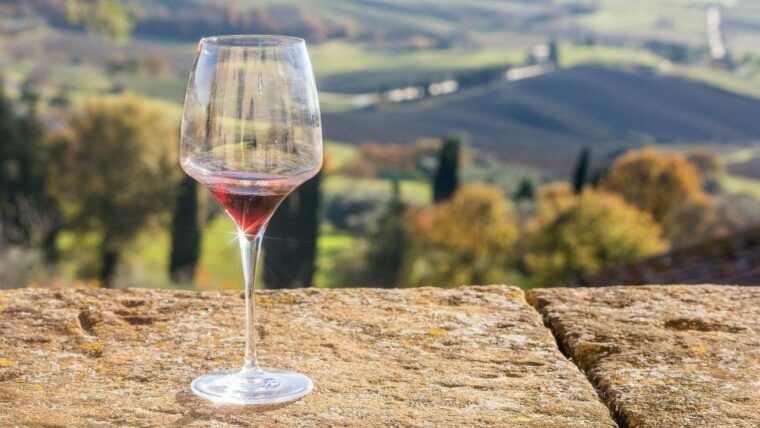 langhe-winery-tour-and-wine-tasting
