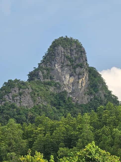 Langkawi: 3-Hour Shared Kilim Geoforest Mangrove Boat Tour - Key Points