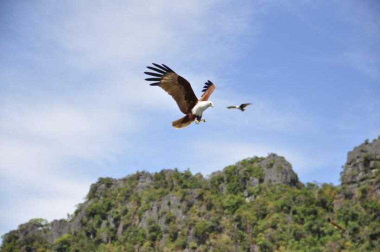 langkawi-6-hour-private-island-highlights-tour
