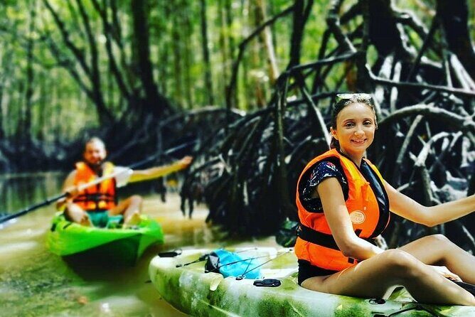 Langkawi Adventure Tour : Mangrove Kayaking with Private Pickup - A Closer Look at the Langkawi Mangrove Kayaking Experience