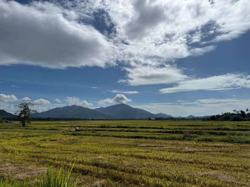 langkawi-cycling-through-the-nature-and-culture