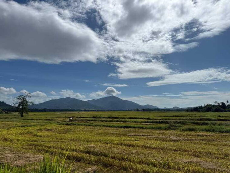 langkawi-cycling-through-the-nature-and-culture