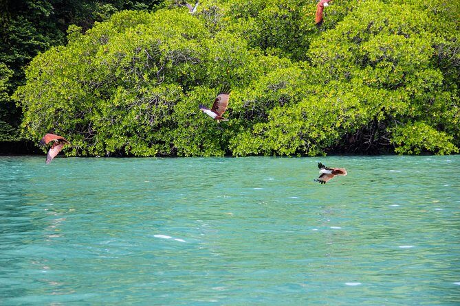 Langkawi Half Day Island Hoping Tour- Sharing basis - Frequently Asked Questions