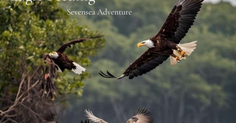 langkawi-half-day-private-kilim-river-mangrove-boat-tour