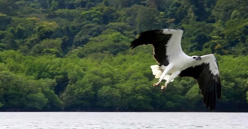 Langkawi: Island Hopping Shared or Private Boat Options - The Guides and Their Role