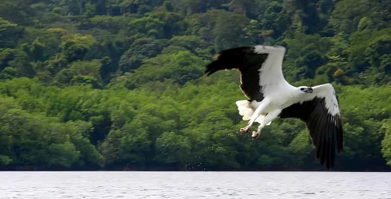 Langkawi: Island Hopping Shared or Private Boat Options - FAQ