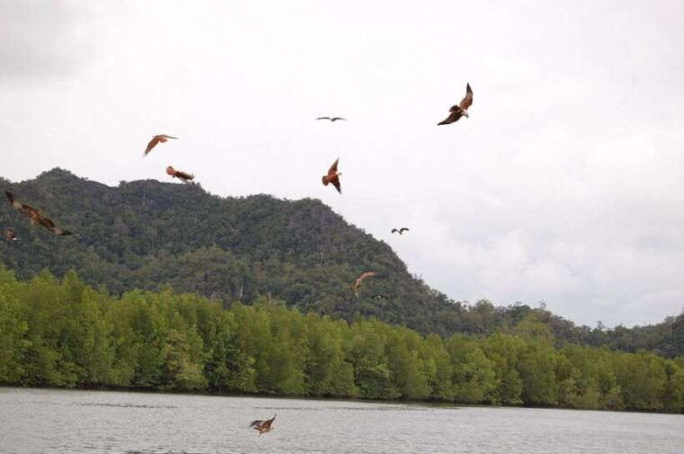 langkawi-island-hopping-tour