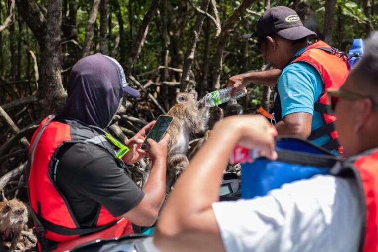 langkawi-jet-ski-tour-unesco-kilim-geopark-free-drone-video