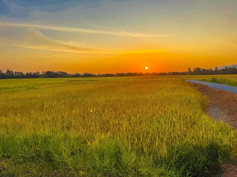 Langkawi Jungle and Waterfall Adventure (Golden Hour) - FAQs