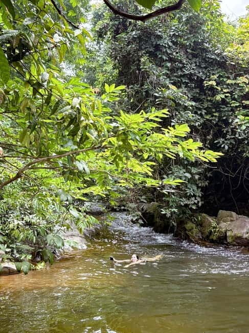 Langkawi Jungle Trekking & Live Cooking Adventure - An In-Depth Look at the Langkawi Jungle Trekking & Live Cooking Tour