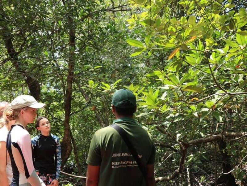 langkawi-kayaking-adventure-and-swimming