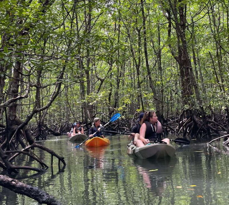 langkawi-kilim-karst-mangrove-kayak-adventure