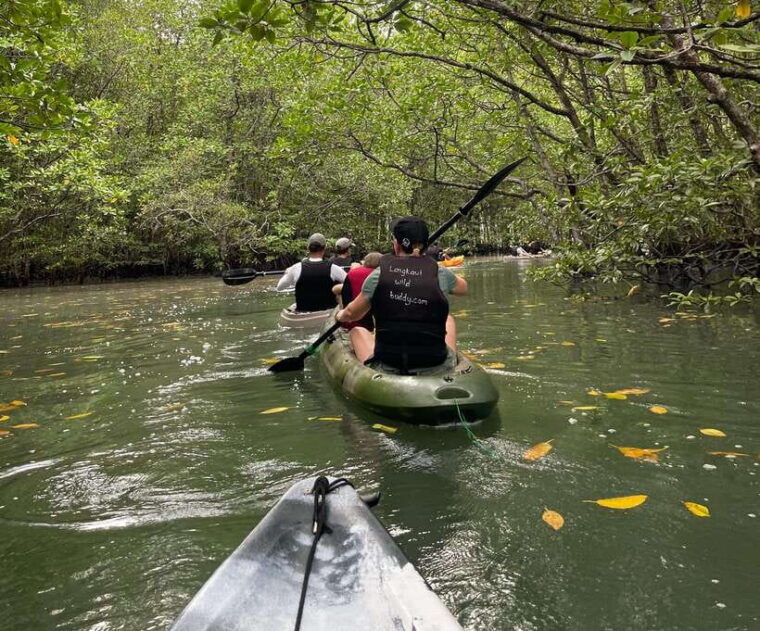 langkawi-kilim-karst-mangrove-kayak-adventure