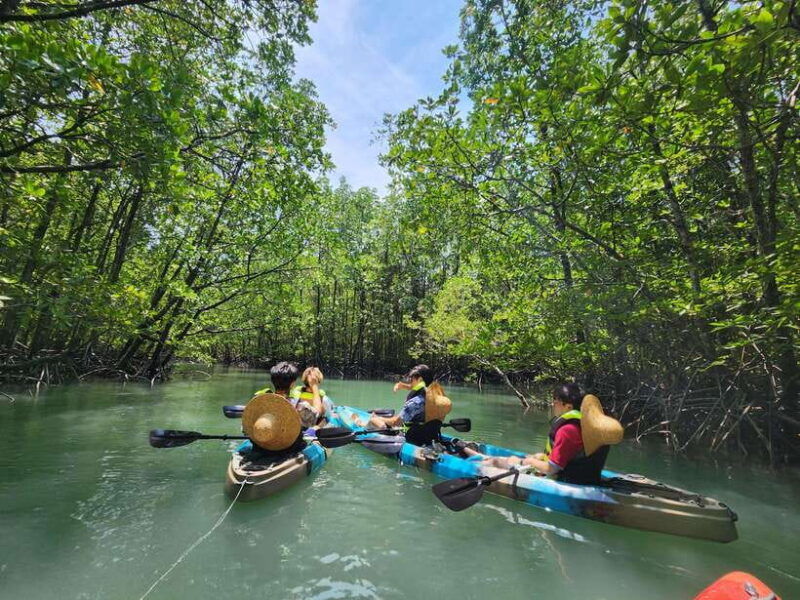 langkawi-kilim-mangrove-boat-fun-kayak-tour-with-lunch