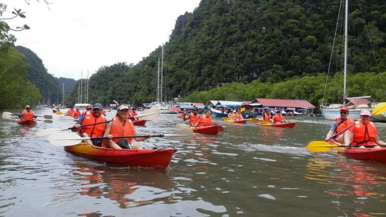 langkawi-kilim-river-mangrove-safari-kayaking-tour