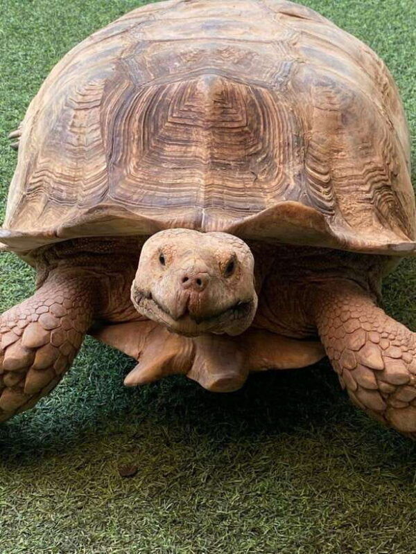 langkawi-land-tour-private-6-hour-included-mangrovetour